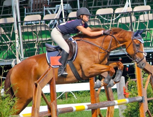 Devon Horse Show
